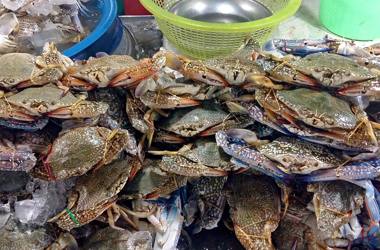 杭州机场T3美食攻略，品味空中美食的天堂